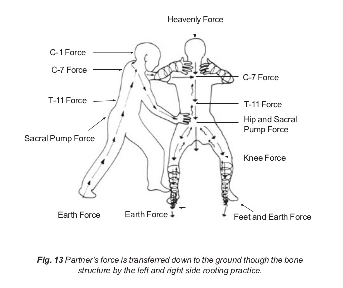 HOW TO GROUND YOURSELF/ AKA TALKING TO THE BEST KIND OF&nbsp;DIRT