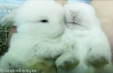 6BD4A84D-5A42-4499-8BAE-A97C7A2888CB